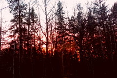 2015-04-07-22.16.15