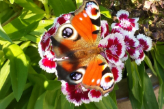 20150816_152920