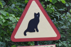 kattskylt